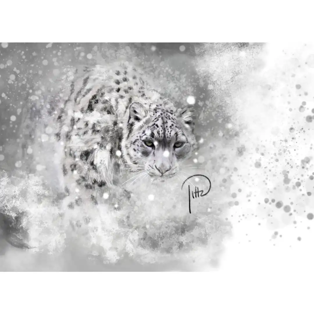 Panthère des neiges, d’après photo