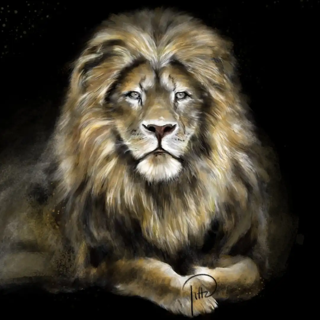 Lion, d’après photo