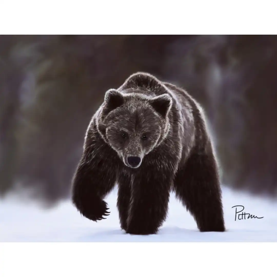 Ourson, d’après photo